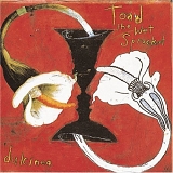 Toad The Wet Sprocket - Dulcinea