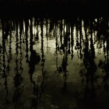 Nine Inch Nails - Ghosts I-IV
