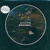 Feist - Let It Die (Vinyl)