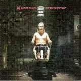 The Michael Schenker Group - The Michael Schenker Group