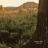 Bird, Andrew (Andrew Bird) - Noble Beast