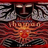 David Arkenstone - Troika IV, Shaman