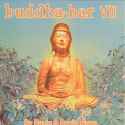 Various artists - Buddha-Bar VII