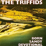 The Triffids - Born Sandy Devotional