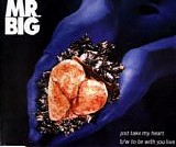 Mr. Big - Just Take My Heart