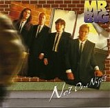 Mr. Big - Not One Night