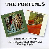The Fortunes - Storm in a Teacup (1972) / Here Comes That Rainy Day Feeling Again (1973)