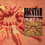 Big Star - Third/Sister Lovers