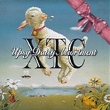 XTC - Upsy Daisy Assortment