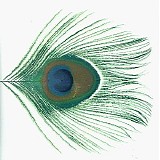 XTC - Apple Venus