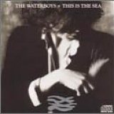 The Waterboys - This Is The Sea