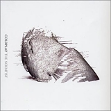 Coldplay - Scientist