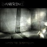 Evanescence - In The Shadows [2007]