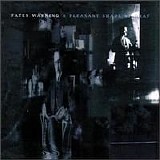 Fates Warning - A Pleasant Shade of Gray