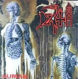 Death - Human