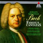 Bach - Bach-Famous Cantatas/Gustav Leonhardt