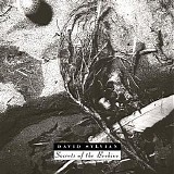 Sylvian, David - Secrets Of The Beehive