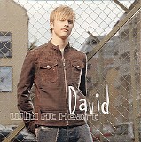 David - Wild At Heart