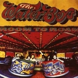 The Waterboys - Room to Roam