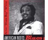Artie "Blues Boy" White - American Roots: Blues
