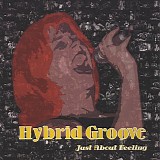 Hybrid Groove - Just About Feeling