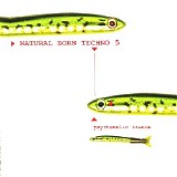 Various artists - Natural Born Techno 5: Psychedelic Trance