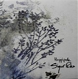 Sigur RÃ³s - HoppÃ­polla