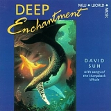 David Sun - Deep Enchantment