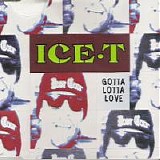 Ice-T - Gotta Lotta Love