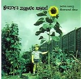 Gorky's Zygotic Mynci - Patio Song