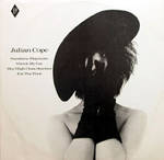 Julian Cope - Sunshine Playroom