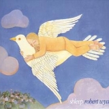 Wyatt, Robert - Shleep