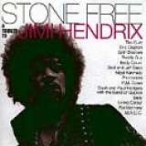 Jimi Hendrix Experience, The - Stone Free - A Tribute To Jimi Hendrix