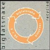 Big Fat Snake - Recycled