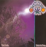 Binar - The Truth Sets Us free
