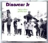 Dinosaur Jr. - Take A Run At The Sun
