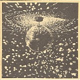 Neil Young - Mirror Ball
