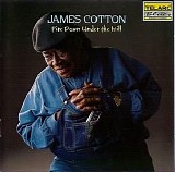 James Cotton - Fire Down Under the hill