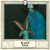 Magnolia Electric Co. - The Black Ram