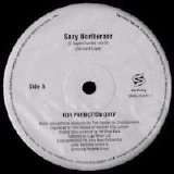 Pet Shop Boys - Sexy Northerner (12'' Promo Vinyl)