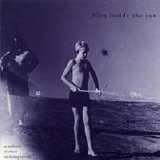 Flies Inside the Sun - An Audience of Others (Including Herself)