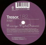 Drexciya - Digital Tsunami (12'')