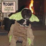 Mogwai - Travel Is Dangerous (single)
