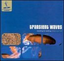 Transient Waves - Wading and Waiting