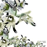 Ricardo Villalobos - Achso EP