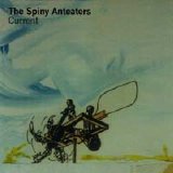The Spiny Anteaters - Current