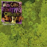 Animal Collective - Water Curses EP