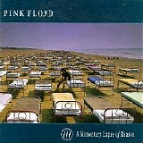 Pink Floyd - A momentary lapse of reason