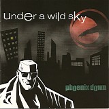 Phoenix Down - Under A Wild Sky