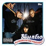 Bliss N Eso - Flowers in the Pavement